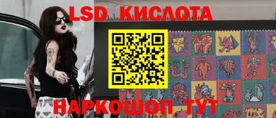 Альфа ПВП Новодвинск