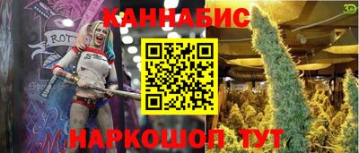Альфа ПВП Новодвинск