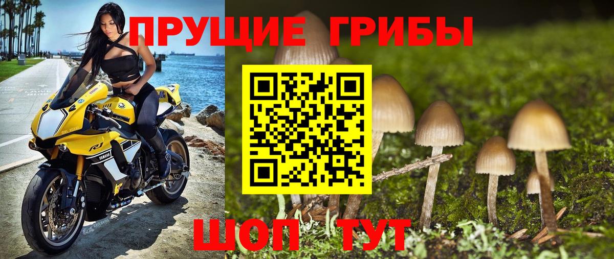 Псилоцибиновые грибы MAGIC MUSHROOMS Удомля